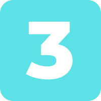 icon 3